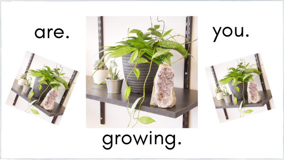 “If You Aren’t Growing, you’re Dying”